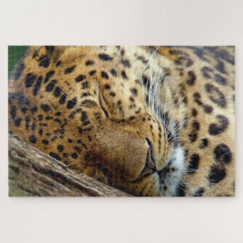 Leopard sleeping on a log jigsaw puzzle