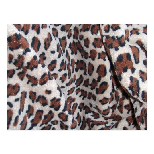 Leopard Spots Postcard