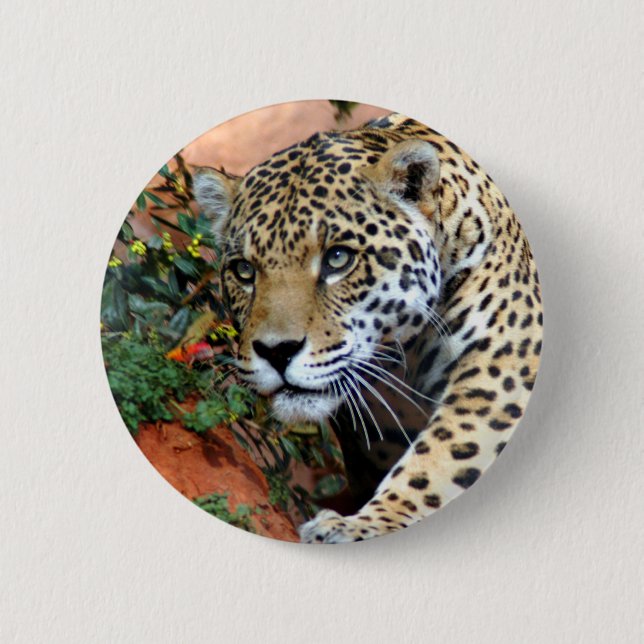 Leopard Stalking Macro Button (Front)