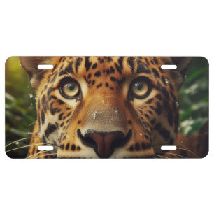 Leopard Stares in Jungle License Plate