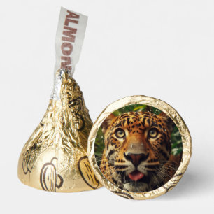 Leopard Stares While Lapping Water in Jungle  Hershey®'s Kisses®