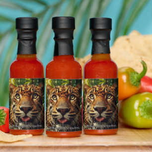 Leopard Stares While Lapping Water in Jungle  Hot Sauces