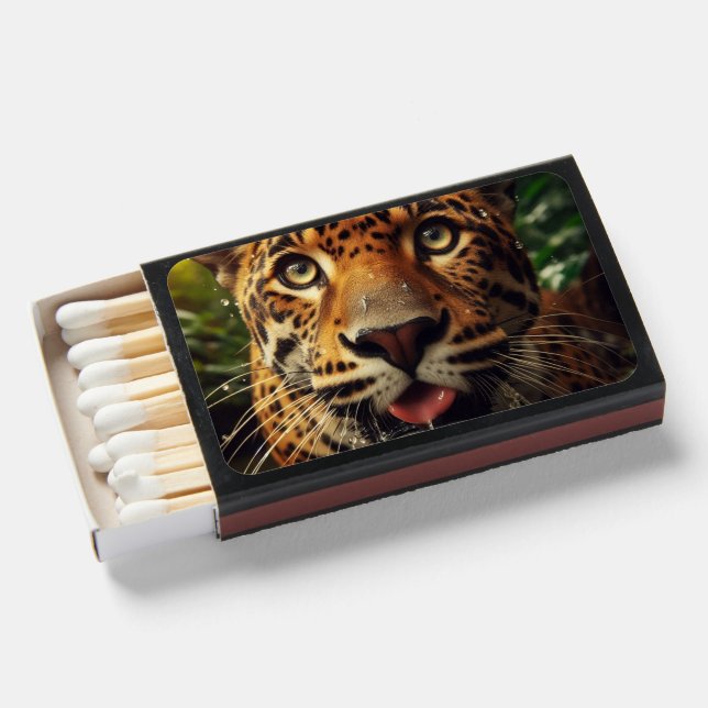Leopard Stares While Lapping Water in Jungle  Matchboxes (Front Open)