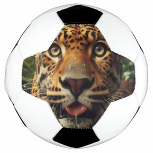 Leopard Stares While Lapping Water in Jungle Soccer Ball
