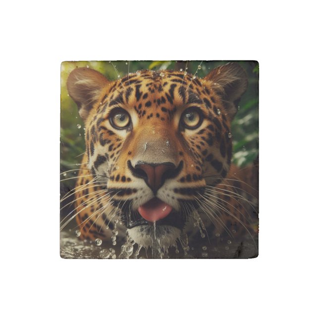 Leopard Stares While Lapping Water in Jungle  Stone Magnet (Front)
