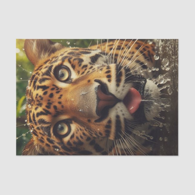 Leopard Stares While Lapping Water in Jungle  Tissue Paper (Front)