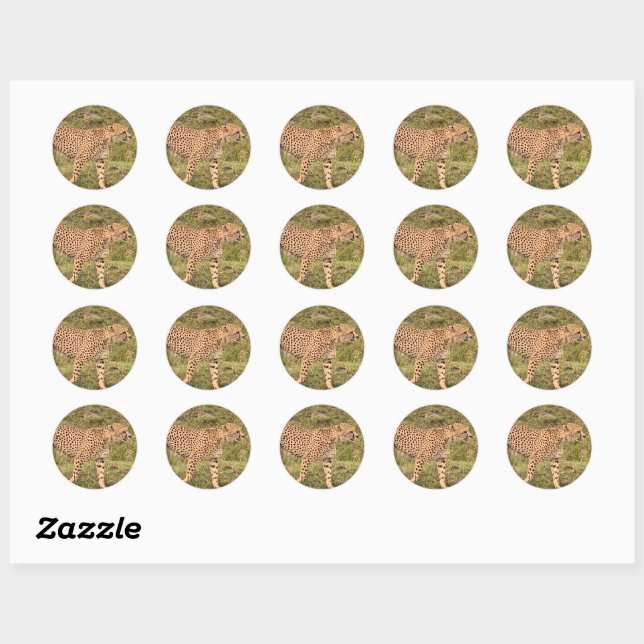 Leopard Stickers (Sheet)