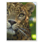 Leopard Temporary Tattoos