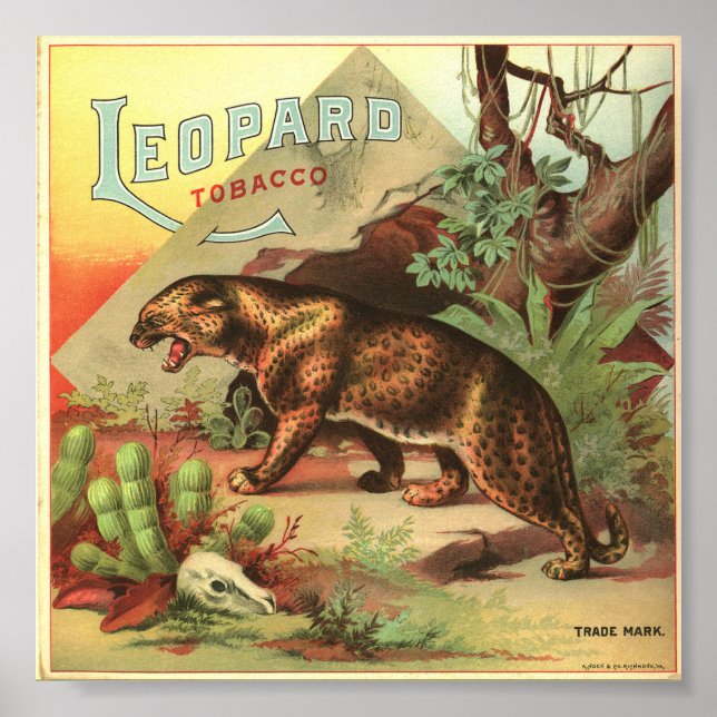 Leopard Tobacco 1900 Poster (Front)