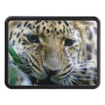 Leopard Trailer Hitch Cover