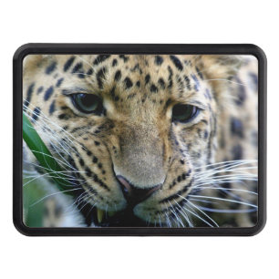 Leopard Trailer Hitch Cover