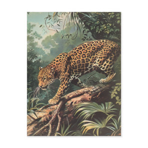 Leopard Vintage  Postcard