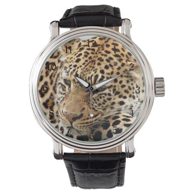 Leopard Watch (Front)