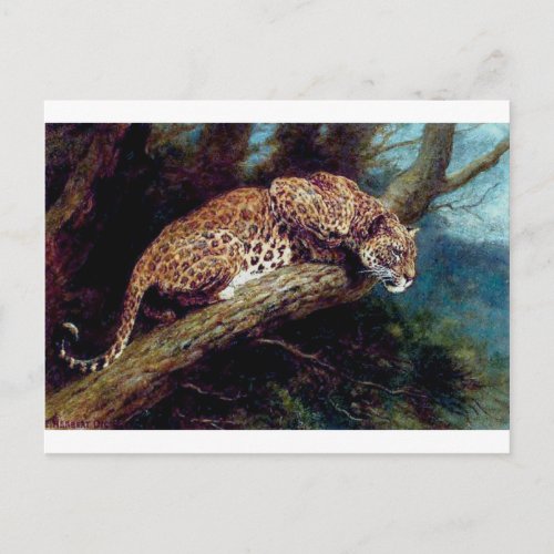 leopard wild cat animal antique painting postcard