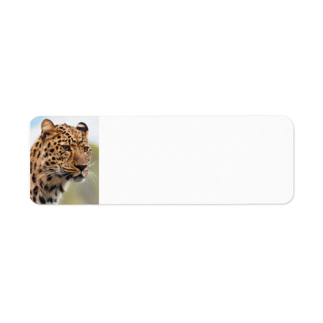Leopard Wild Cats Label (Front)