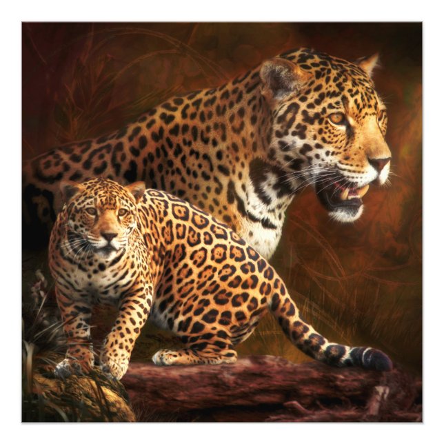 LEOPARD WILD NIGHT PHOTO PRINT (Front)
