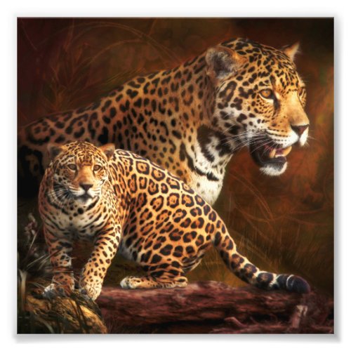 LEOPARD WILD NIGHT PHOTO PRINT