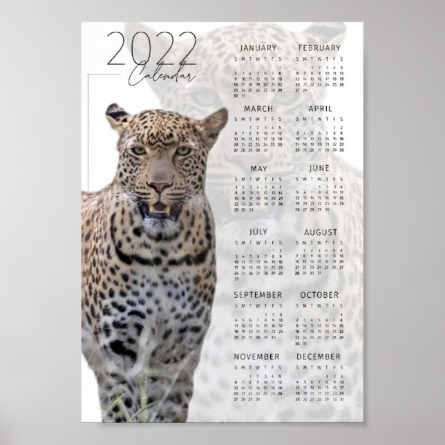 Leopard wildlife 2022 Calendar Poster (Front)