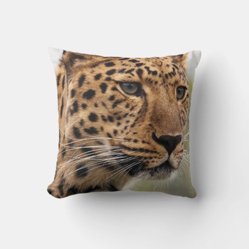 Leopard with Piercing Green Eyes Throw Pillow
