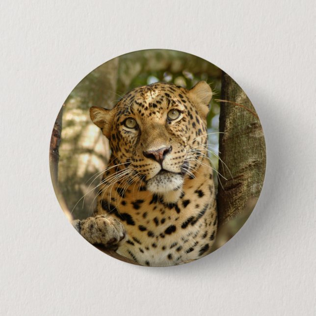 LeopardCheetaro013 Button (Front)