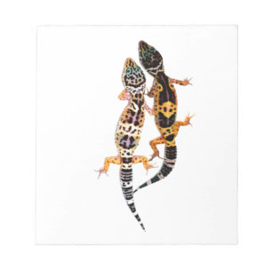 Leopardgecko Pärchen Notepad