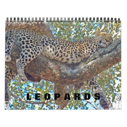 LEOPARDS _ ALL LEOPARD CALENDAR