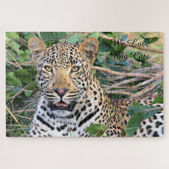 Leopards Big Cats. Jigsaw Puzzle (Horizontal)