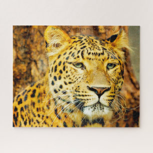Leopards Big Cats. Jigsaw Puzzle