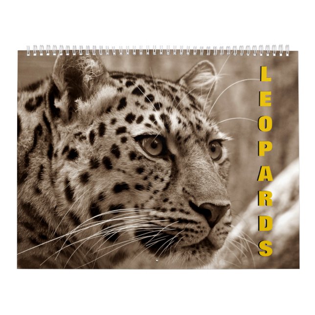 Leopards Calendar (Cover)