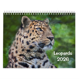 Leopards Calendar