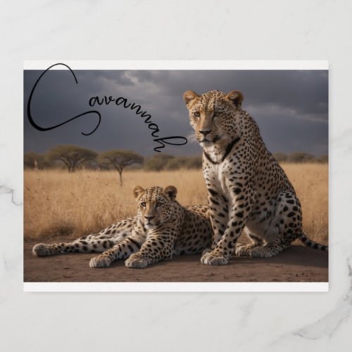Leopards Nature Savannah Foil Holiday Postcard