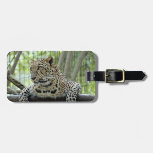 LeopardSundari_007 Luggage Tag