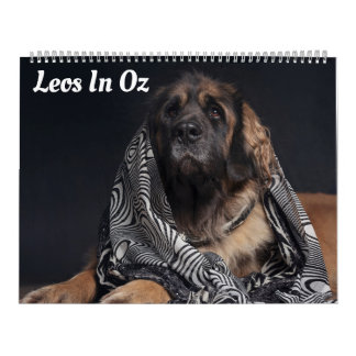 Leos In Oz Calendar