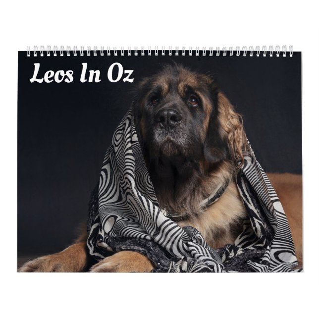Leos In Oz Calendar (Cover)