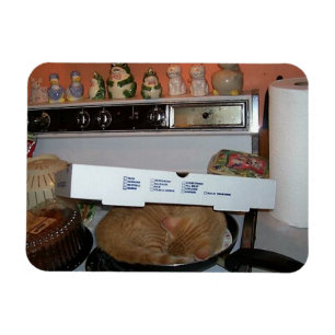 Leo's Pizza Blanket Magnet