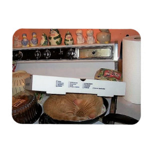 Leo's Pizza Blanket Magnet
