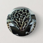 Lepard Gecko Pinback Button