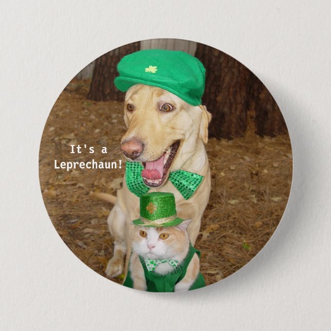 Leprechaun Sighting Pinback Button (Front)