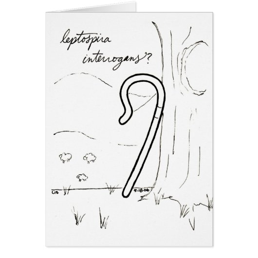Leptospira Interrogans card (Front)