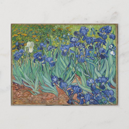 Les Iris Irises Vincent Van Gogh Postcard