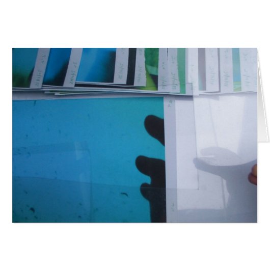 Les Non-Dessins du Jour 2005-2006 Project Blue 1 (Front Horizontal)