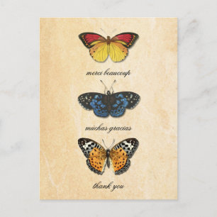 Les Papillons Thank You Postcard