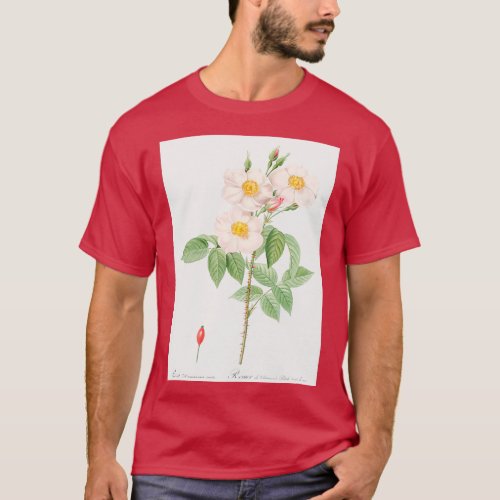 Les Roses by PierreJoseph Redout 16 T_Shirt