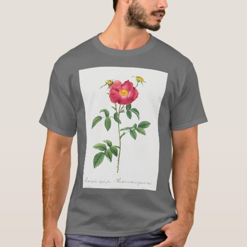 Les Roses by PierreJoseph Redout 24 T_Shirt