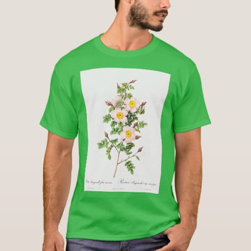 Les Roses by PierreJoseph Redoute T_Shirt