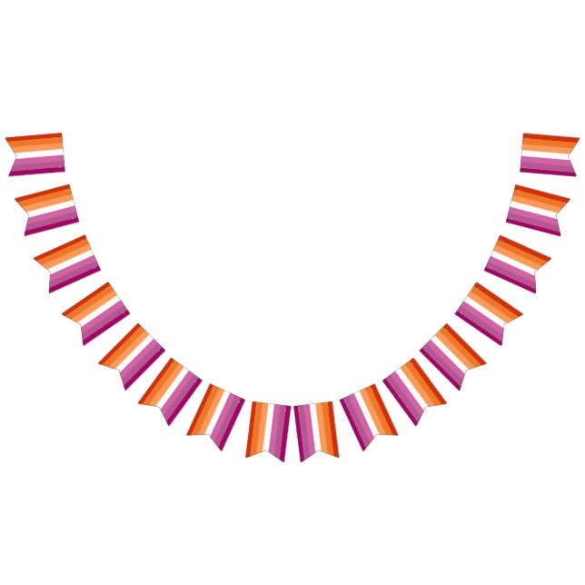 Lesbian Flag Bunting Banner LGBT Party (All)