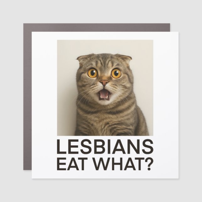 Lesbians Eat What Funny Car Magnet (Front)