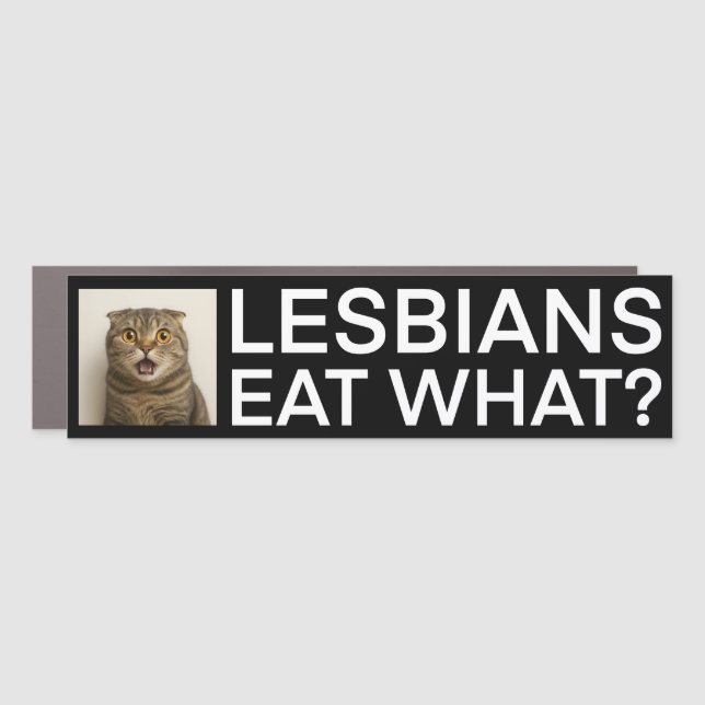 Lesbians Eat What Funny Car Magnet (Front)