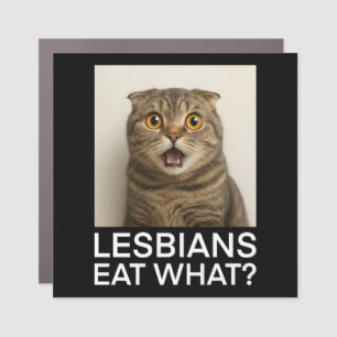 Lesbians Eat What Funny Car Magnet