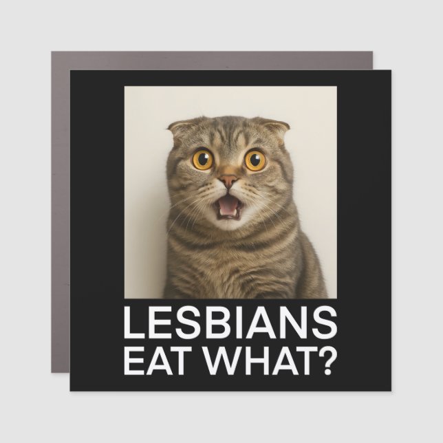 Lesbians Eat What Funny Car Magnet (Front)